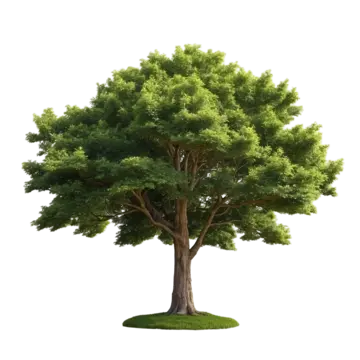 SMF Logo